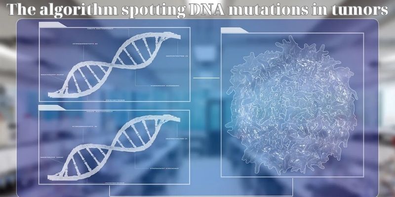 The algorithm spotting DNA mutations in tumors - AI algorithms in healthcare